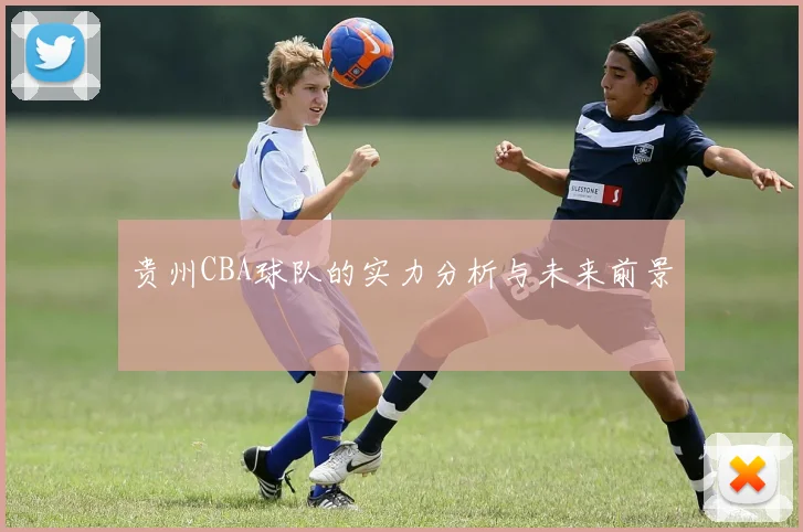 贵州CBA球队的实力分析与未来前景