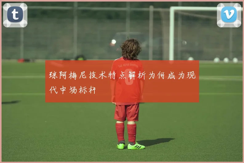 琼阿梅尼技术特点解析为何成为现代中场标杆