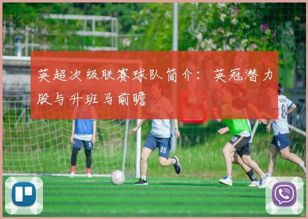 英超次级联赛球队简介：英冠潜力股与升班马前瞻