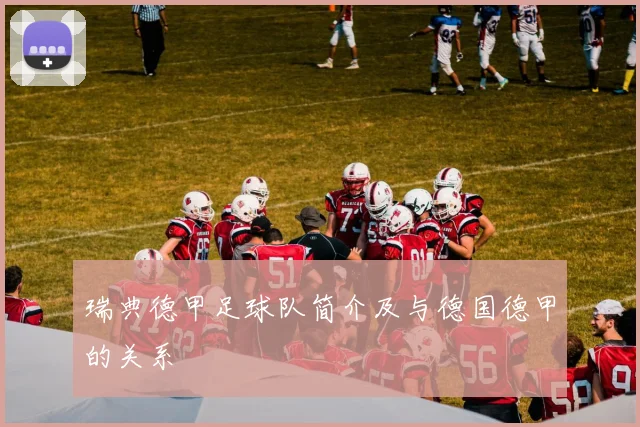 瑞典德甲足球队简介及与德国德甲的关系