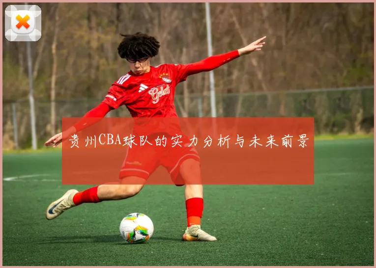 贵州CBA球队的实力分析与未来前景