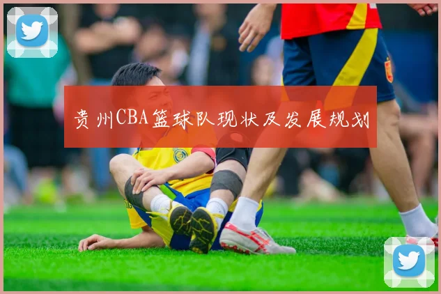 贵州CBA篮球队现状及发展规划